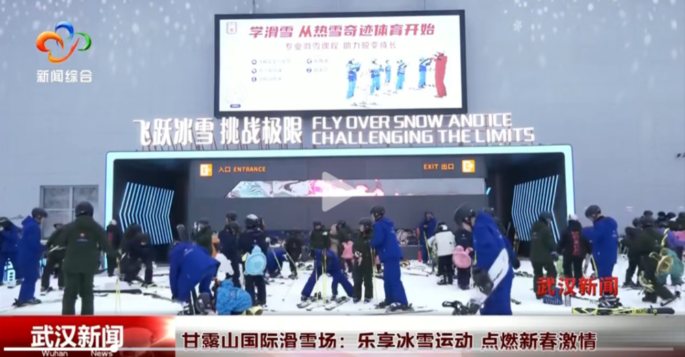 态系统逐渐