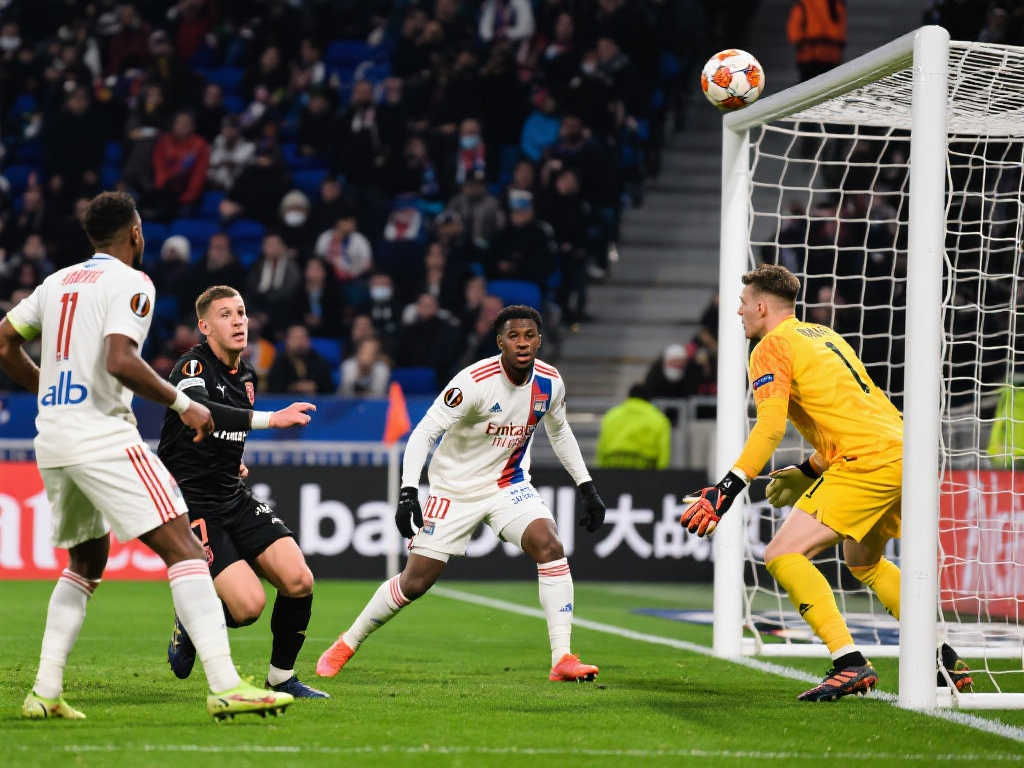 疑是一个新 疑是一个新