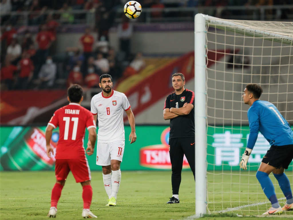 至是职业生 至是职业生